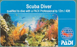 Curso de Buceo PADI - Scuba Diver