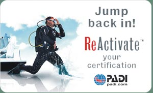 Curso de Buceo PADI - Open Water Diver
